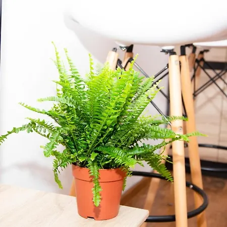 Cosy In Apartamento *